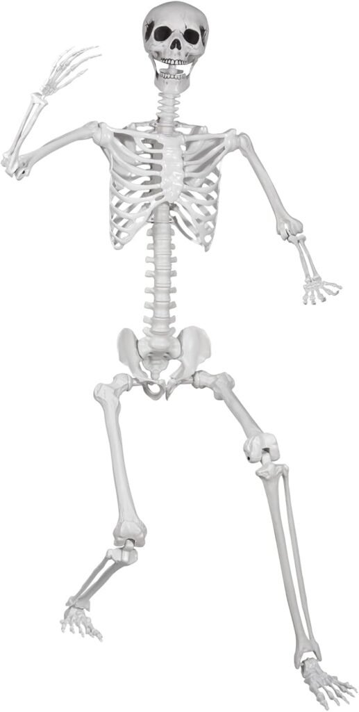 5.9ft/180cm Posable Halloween Skeleton, Life Size Skeleton Bones with Movable Joints for Halloween Graveyard Haunted House Spooky Scene Decor, 1pc