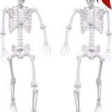 2 Pack 5.4Ft Halloween Skeletons Posable Skeletons Life Size Full Body Bones with Movable Joints